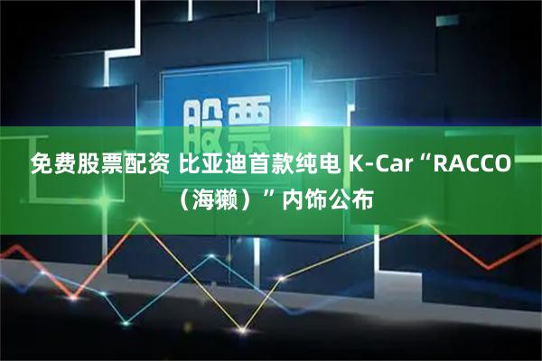 免费股票配资 比亚迪首款纯电 K-Car“RACCO（海獭）”内饰公布